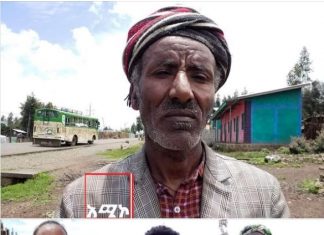 አሸባሪው እና ወራሪውን የትህነግ ቡድን ከሠራዊቱ ጋር በመሆን ለመታገል ዝግጁ መሆናቸውን የደብረ ዘቢጥ ነዋሪዎች ተናገሩ፡፡