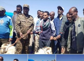 የደምበጫ ዙሪያ ወረዳ በማይጠብሪ ግንባር ለሚገኘው የወገን ጦርና ለተፈናቀሉ ወገኖች ከአንድ ሚሊዮን ብር በላይ የሚገመት ድጋፍ አደረገ።