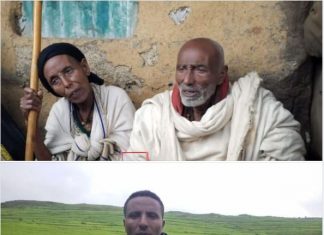 ❝ጧሪና ቀባሪ ልጃችንና የልጅ ልጃችን ገድሎብናል❞ አሸባሪው ትህነግ በዳባት ወረዳ ጭና አካባቢ ግፍ የፈፀመባቸው ነዋሪዎች