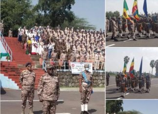 የላቀ የሥራ አፈጻጸም ላስመዘገቡ የአየር ኃይል አባላት የማእረግ እድገት ተሰጠ።