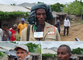 የወልቃይት ጠገዴ ሕዝብ እንደ ንሥር የጠላትን እንቅስቃሴ እየተከታተለ ነው።
