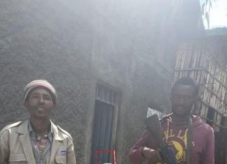 ወንድማማቾቹ ጀብደኞች!