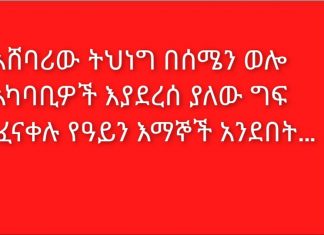 አሸባሪው ትህነግ በሰሜን ወሎ አካባቢዎች እያደረሰ ያለው ግፍ በተፈናቀሉ የዓይን እማኞች አንደበት…