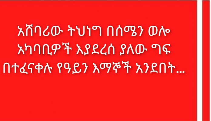 244562949_1650572121784442_9057410447324349764_n