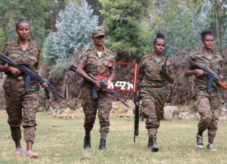 የኢትዮጵያ መከላከያ ሠራዊት እንስት አናብስት!