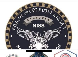በዓለ-ሲመቱ በሰላም መጠናቀቁን የጸጥታ የጋራ ግብረኃይል አስታወቀ።