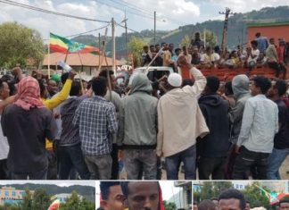 ❝በአባቶቻችን ደም እና አጥንት የተገነባች ሀገራችንን ለወራሪ ጠላት አሳልፈን አንሰጥም❞ የደሴና አካባቢው ወጣቶች