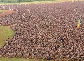 የሚሰጣቸውን ወታደራዊ ስልጠና በቁርጠኝነት በመውሰድ የሽብርተኛውን ትህነግ ኃይል ለመደምሰስ ዝግጁ መሆናቸውን የብርሸለቆ መሰረታዊ ውትድርና ሰልጣኞች ገለጹ።