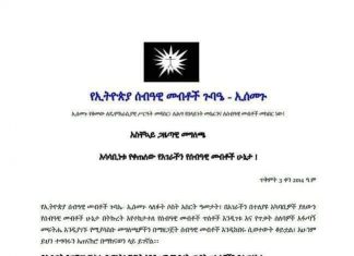 በኦሮሚያ ክልል በምሥራቅ ወለጋ ዞን ኪረሙ ወረዳ ብሔር ተኮር ጥቃት በተደጋጋሚ እየተፈጸመ መሆኑን ኢሰመጉ አስታወቀ።