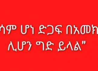 “ወቀሳም ሆነ ድጋፍ በአመክንዮ ሊሆን ግድ ይላል”