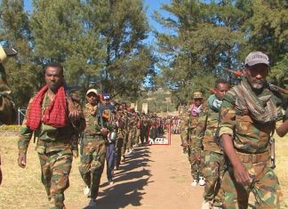የአማራ ክልል መንግሥት ያስተላለፈውን የክተት ጥሪ የተቀበሉ የፋኖ እና የሚሊሻ አባላት አሸባሪውና ወራሪዉ የትግራይ ኃይልን ግብዓተ መሬት እስኪፈጸም ድረስ ለመፋለም ዝግጁ መሆናቸውን ገለጹ፡፡