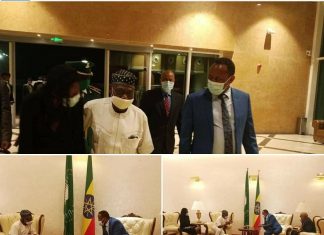 የቀድሞ የናይጀሪያ ፕሬዚዳንት ኦሊሴንጎ አባሳንጆ ኢትዮጵያ በምትመሰርተው መንግሥት ለመታደም አዲስ አበባ ገቡ።