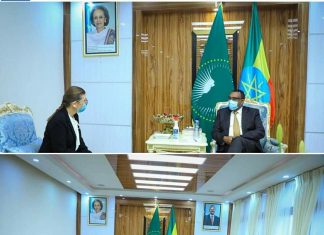 ኢትዮጵያ እና እስራኤል በኢኮኖሚ ዘርፍ ያላቸውን ትብብር ማጠናከር እንደሚያስፈለግ ምክትል ጠቅላይ ሚኒስትርና የውጭ ጉዳይ ሚኒስትር ደመቀ መኮንን ገለጹ።