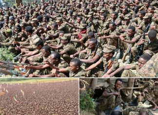 ኢትዮጵያን በብዙው የመሰለ የሀገር መከላከያ ሠራዊት!