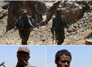 “የሰው ልጅ ነፃነትን ፈላጊ ነው፤ ነፃነት ግን በነፃ አይገኝም” የሕልውና ዘማቾች