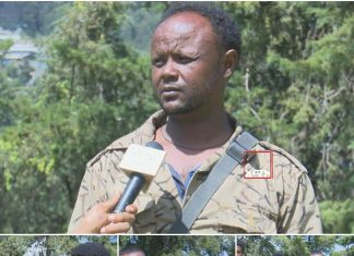 “በእኛ የሕይወት መስዋእትነት የነገው ትውልድ በነጻነት እንዲኖር እንዋደቃለን” የምሥራቅ አማራ የፋኖ አባላት