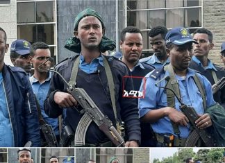 ❝ወራሪውንና ሽብርተኛውን ትህነግ ሳንቀብር ላንመለስ ተነስተናል❞ ከምዕራብ ጎጃም ዞን ከተለያዩ ወረዳዎች ወደ ግንባር ያቀኑ የፖሊስ አባላት