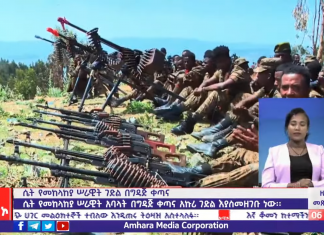 ዜና መጽሔት ባሕር ዳር ፡ ጥቅምት 15/2014 ዓ.ም (አሚኮ)