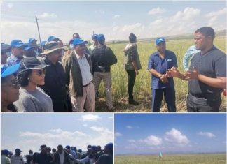 ጠቅላይ ሚኒስትር ዐቢይ አሕመድ በአርሲ ዞን ሄጦሳ ወረዳ በመስኖ የለማ የስንዴ ማሳን እየጎበኙ ነው።
