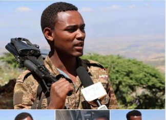 የመውሊድ በዓል በግንባር…