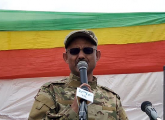 “ነፃነትና ክብርን በችሮታ ማግኘት አይቻልም!” የገቢዎች ሚኒስትር ላቀ አያሌው