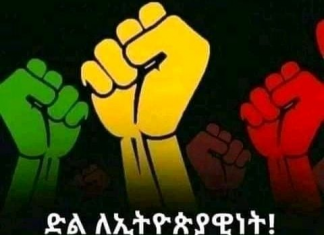 ለሀገርህ ምንም ነገር አትሰስት