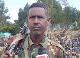 የምሥራቅ እና የምዕራብ በለሳ አናብስት በዋግኽምራ ግንባር ታላቅ ጀብድ እየፈጸሙ ነው።