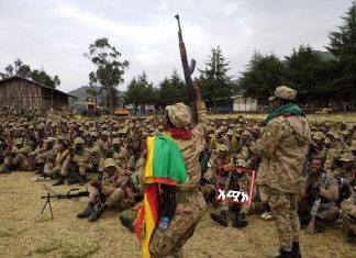 ተምዘግዛጊ ነብሮቹ በወሎ ሰማይ ሥር!