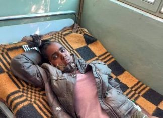 ወረኢሉን ለመቆጣጠር አስቦ ኃይሉን ሲያሰባስብ የነበረው አሸባሪው የትግራይ ወራሪ ኀይል ተደመሰሰ።