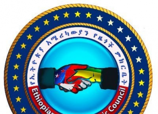 ለቀጣናው ሰላምና መረጋጋት የአሜሪካ መንግሥት ከኢትዮጵያ ጋር በመከባበርና በጋራ ተጠቃሚነት ላይ ሊሠራ ይገባል።