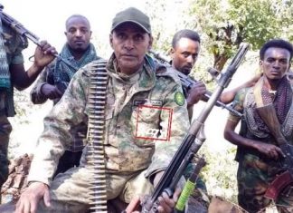 “አሸባሪው የትግራይ ወራሪ ኀይል የሚታገለው ሀገርን ለባዳ ለመሸጥ እንጂ ሀገር ለማስተዳደር አይደለም” በማይጠብሪ ግንባር የፋኖ ብርጌድ አዛዥ ሻለቃ ሰፈር መለሰ