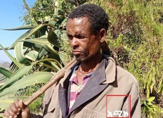 “ጽናት ካለ ድንጋይና መጥረቢያም ቦምብ ነው”