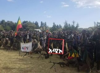 ፋኖ ሠንደቁን አስቀድሞ እየገሰገሰ ነው!