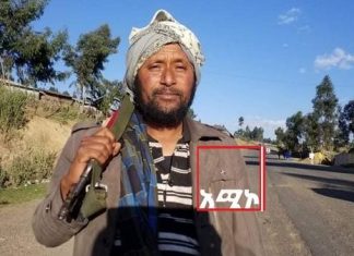 ከጠቅላይ ሚኒስትሩ ጎን በመሰለፍ ጠላትን በቁጣ አለንጋቸው እየገረፉ እንደሚገኙ የአማራ ልዩ ኀይልና ሚሊሻ አባላት ገለጹ።
