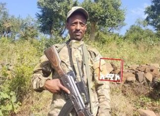 “በጠላት መትረየስና ዲሽቃ የታሰረን ምሽግ እንደ ቀትር እባብ ተሽሎክሉኬ የቦምብ ናዳ አወረድኩባቸው፣ በየምሽጉ የነበሩት የጠላት ተዋጊዎችም የነበራቸው እድል የአሞራ ሲሳይ መኾን ብቻ ነበር” ምክትል ሳጅን አየለ ግርማ