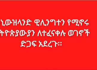 በኒውዝላንድ ዊሊንግተን የሚኖሩ ኢትዮጵያውያን ለተፈናቀሉ ወገኖች ከ30 ሺህ በላይ የአሜሪካ ዶላር ድጋፍ አደረጉ፡፡