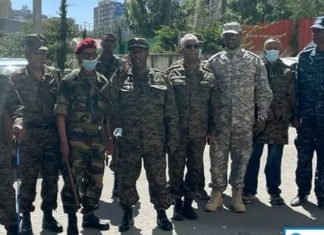 አርቲስት ታማኝ በየነን ጨምሮ ታዋቂ ግለሰቦች እና የቀድሞ ጦር ሠራዊት ከፍተኛ አመራሮች ወደ ግንባር ዘመቱ።