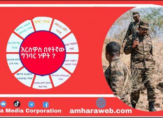 በየትኛው ግንባር ላይ ተሰልፈው ኢትዮጵያን ለመታደግ ወስነዋል?