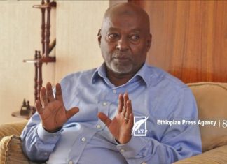 ጠቅላይ ሚኒስትር ዐቢይ አሕመድ ለጥቁር ሕዝቦች ያቀረቡት ጥሪ የፓን አፍሪካኒዝም ንቅናቄ ድጋሚ እንዲያብብ እንደሚረዳ ረዳት ፕሮፌሰር አሕመድ ዘካሪያ ገለጹ፡፡