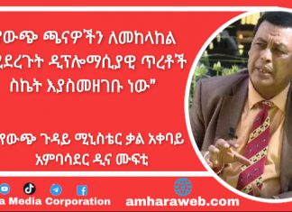 “የውጭ ጫናዎችን ለመከላከል የሚደረጉት ዲፕሎማሲያዊ ጥረቶች ስኬት እያስመዘገቡ ነው” የውጭ ጉዳይ ሚኒስቴር ቃል አቀባይ አምባሳደር ዲና ሙፍቲ