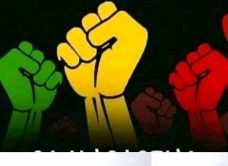 “በኢትዮጵያዊነት ዝናብ የፈሰሰው ማዕበል ማጥለቅለቅ ጀምሯል”