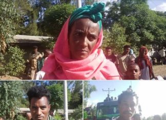 በአሸባሪው የትግራይ ወራሪ ኀይል የተፈናቀሉ የዳህና ወረዳ ወገኖች ወደ ቀያቸው መመለስ ጀመሩ።