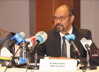 በአማራ ክልል የሰብዓዊ ድጋፍ ለማድረስ እንደሚሠራ በተባበሩት መንግሥታት ድርጅት የሰብዓዊ ድጋፍ አስተባባሪ የኢትዮጵያ ዳይሬክተር ዶክተር ካትሪን ሱዚ ገለጹ።