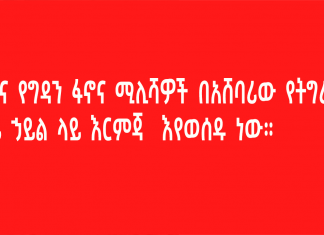 የቆቦና የግዳን ፋኖና ሚሊሻዎች በአሸባሪው የትግራይ ወራሪ ኃይል ላይ እርምጃ መውሰዳቸውን ቀጥለዋል።