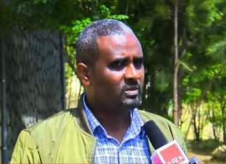 የወገን ጦር በወረኢሉ እና አካባቢው ባደረሰው ጥቃት ጠላት ከፍተኛ ኪሳራ እንደደረሰበት የደቡብ ወሎ ዞን አስተዳዳሪ ገለጹ።