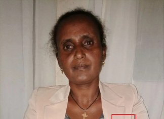 በውጭ ሀገራት የሚኖሩ ኢትዮጵያውያን እና የኢትዮጵያ ወዳጆች ሀገራቸውን በዲፕሎማሲ እና በኢኮኖሚ ዘርፍ በመደገፍ ኀላፊነታቸውን ሊወጡ እንደሚገባ ተገለጸ፡፡