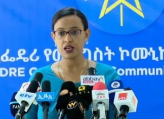 ዲያስፖራው የእናት ሀገሩን ጥሪ ተቀብሎ ወደ ኢትዮጵያ በመምጣት የሀገሩን እውነት ለዓለም እንዲያሳውቅ ጥሪ ቀረበ፡፡
