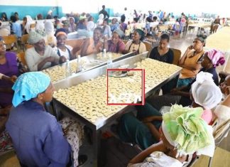 በጎንደር ዩኒቨርሲቲ የስፔሻላይዝድ ሆስፒታል እና የጤና ሳይንስ ኮሌጅ ሠራተኞች ገንዘብ በማዋጣት ለወገን ጦር ስንቅ እያዘጋጁ ነው፡፡