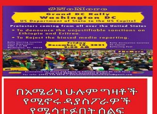 በአሜሪካ ሁሉም ግዛቶች የሚኖሩ ዳያስፖራዎች የሚሳተፉበት ሰልፍ በዋሺንግተን ዲሲ ሊካሄድ ነው፡፡
