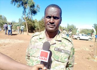 የአማራ ክልል የኤሌክትሪክ አገልግሎት ሠራተኞች በዋግ ግንባር ለሚገኘው የወገን ጦር ድጋፍ አደረጉ።
